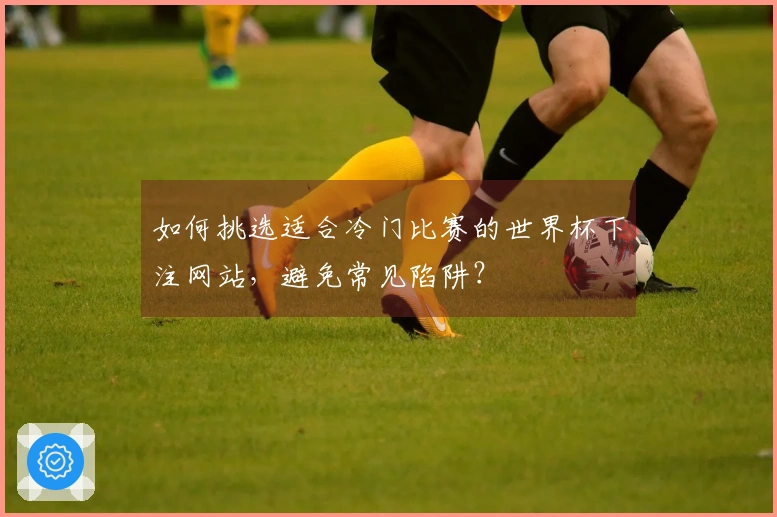 如何挑选适合冷门比赛的世界杯下注网站,避免常见陷阱?