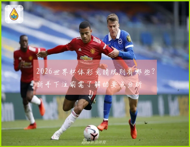 2026世界杯体彩竞猜规则有哪些？新手下注前需了解的要点分析