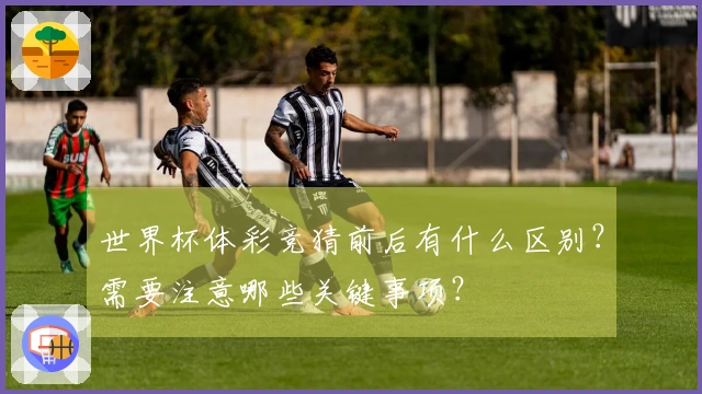 世界杯体彩竞猜前后有什么区别?需要注意哪些关键事项?