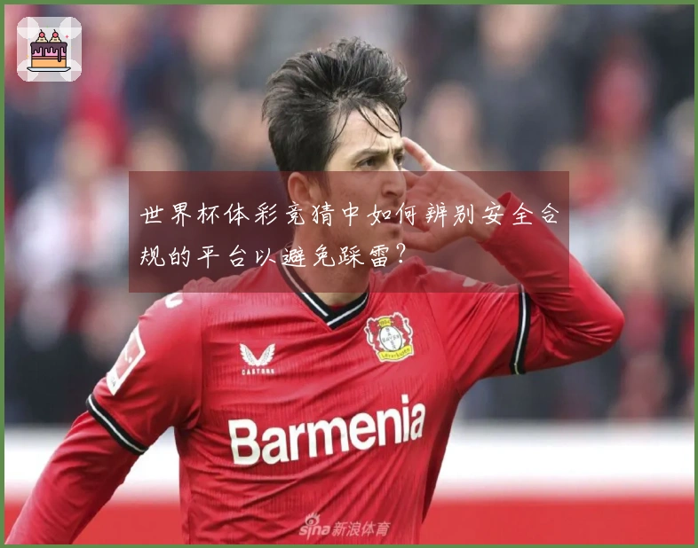 世界杯体彩竞猜中如何辨别安全合规的平台以避免踩雷？